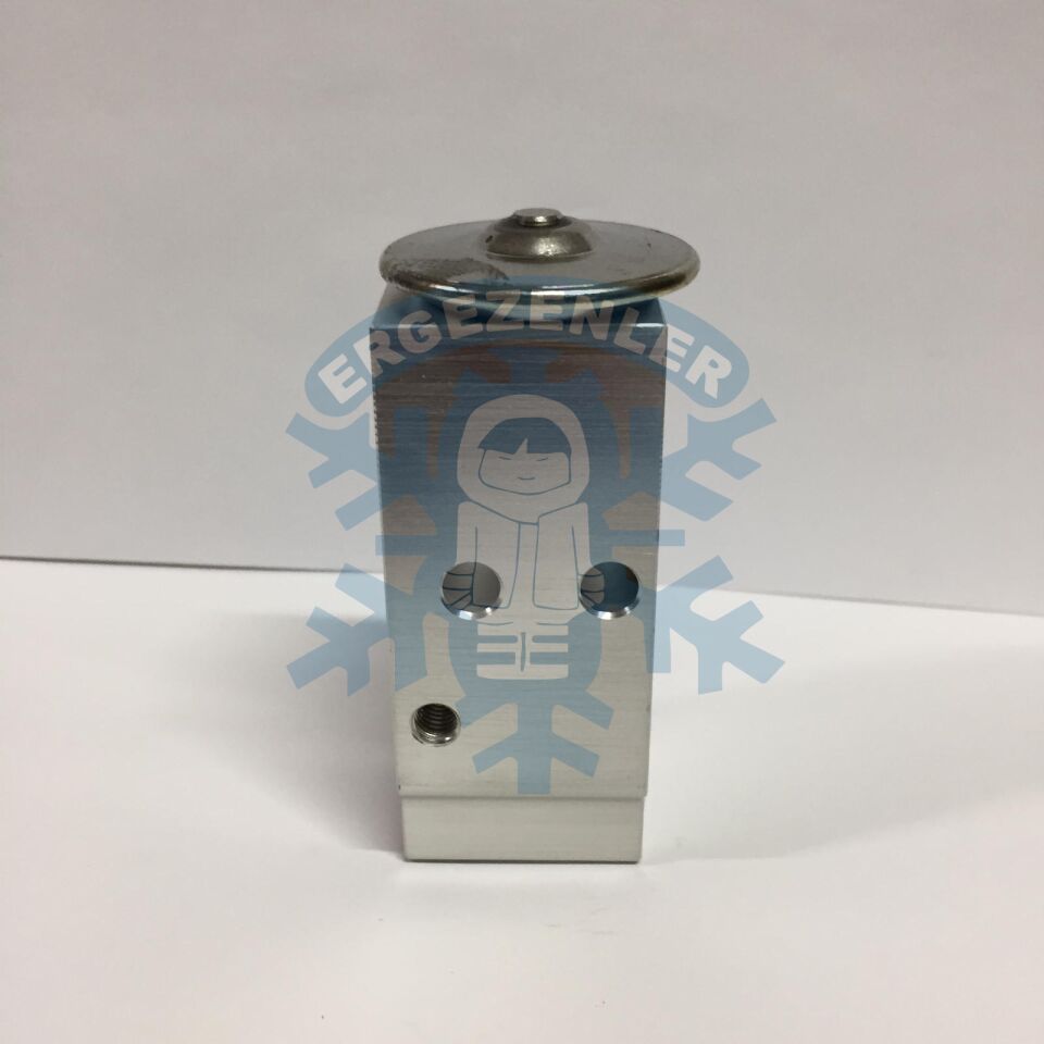 HYUNDAİ ECCENT ERA EXPASION VALF