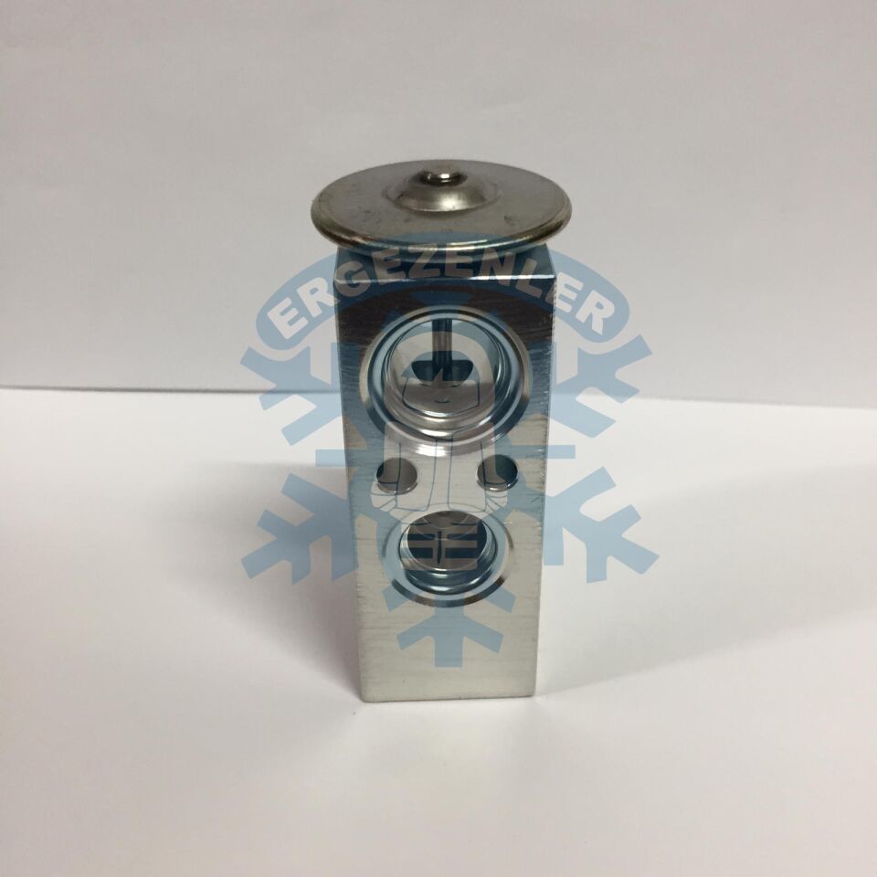 NİSSAN ALMERA EXPASION VALF