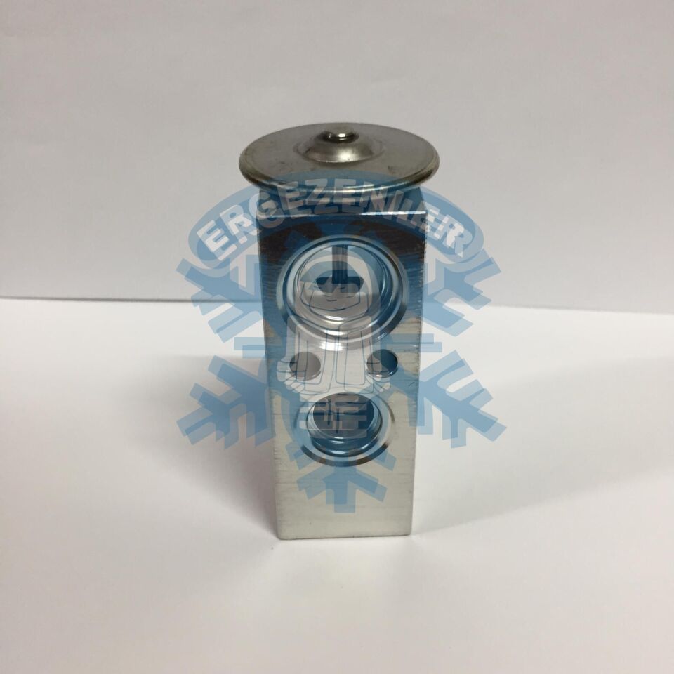 NİSSAN ALMERA EXPASION VALF