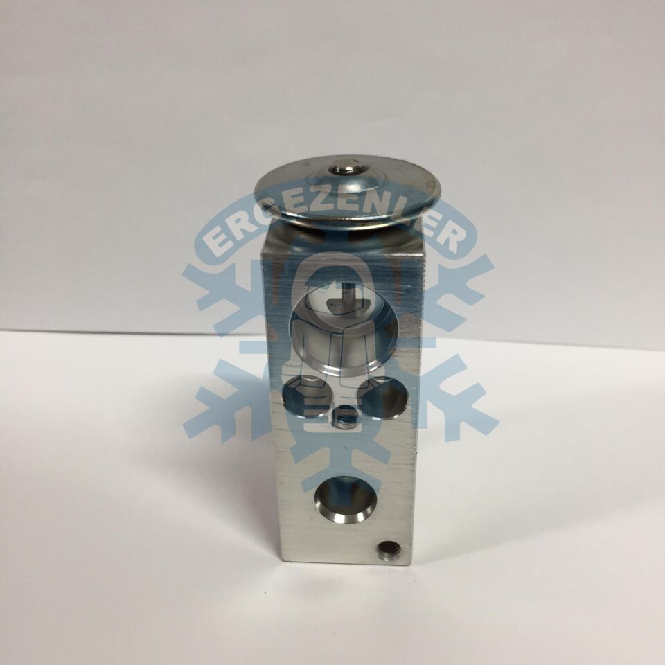 NİSSAN ALMERA EXPASION VALF