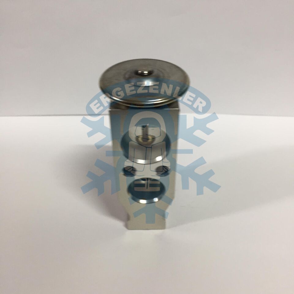 TOYOTA YENİ MODEL EXPASION VALF