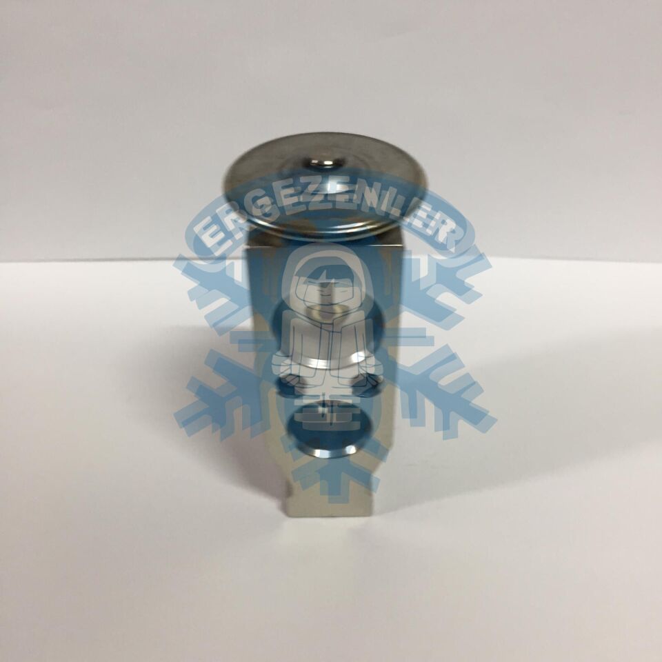 TOYOTA YENİ MODEL EXPASION VALF