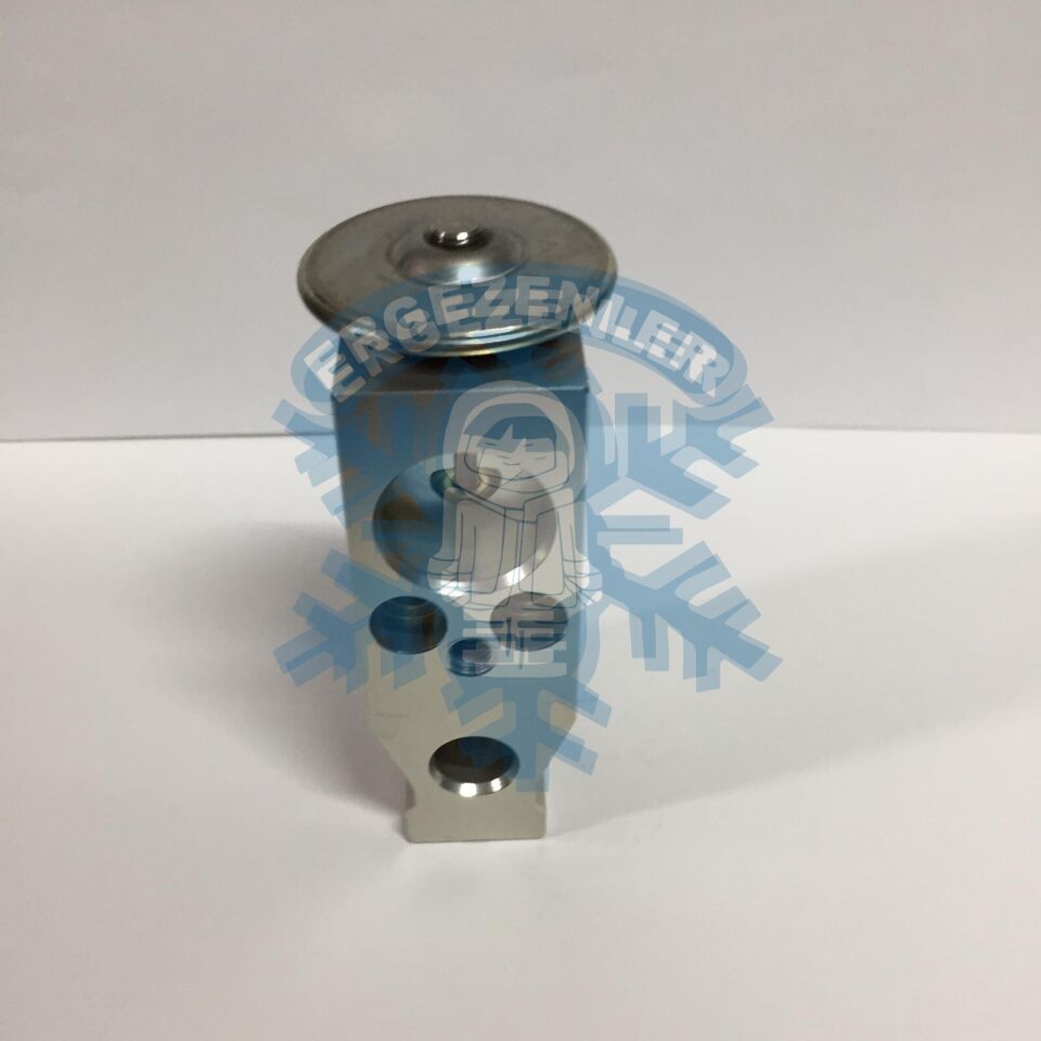 TOYOTA YENİ MODEL EXPASION VALF