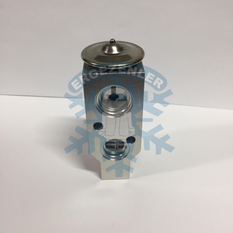 CHEVROLET LACETTİ AVEO V5 EXPASION VALF