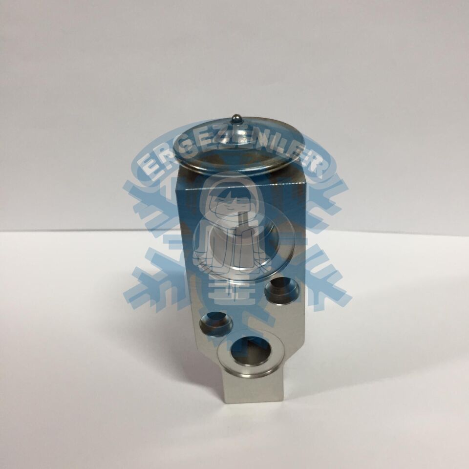 CHEVROLET LACETTİ AVEO V5 EXPASION VALF