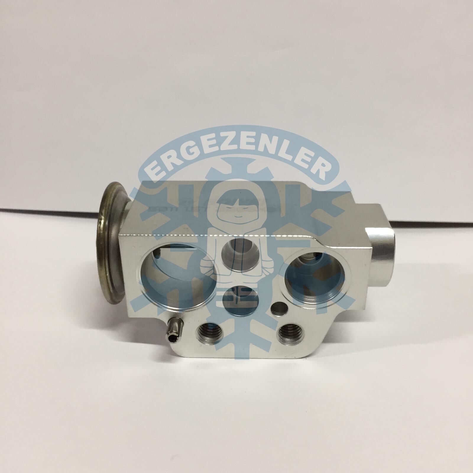 AUDİ Q7 EXPASION VALF