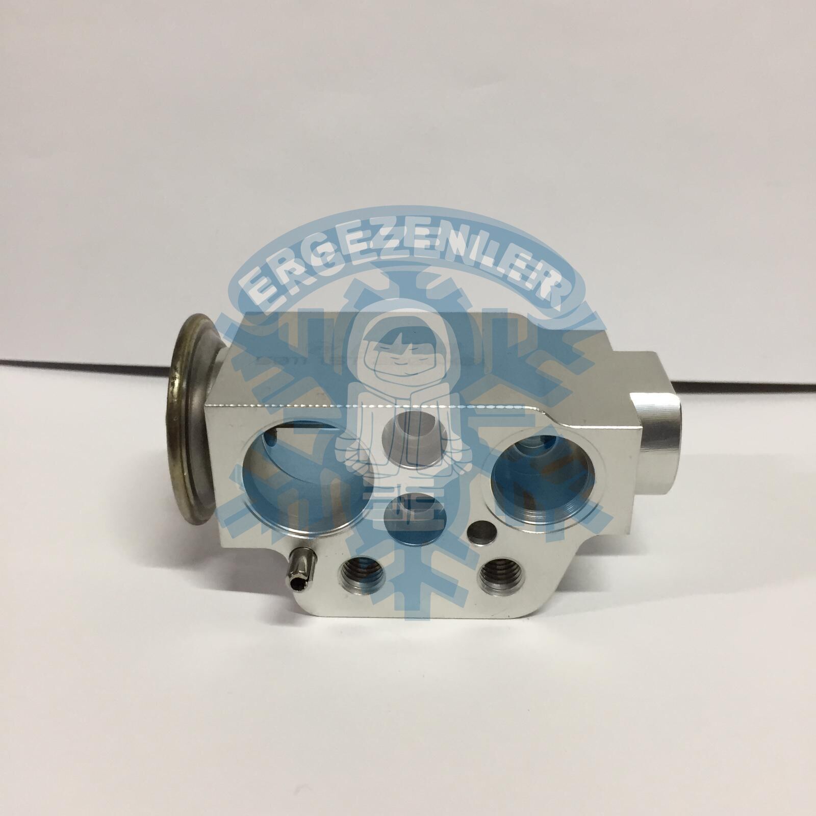 AUDİ Q7 EXPASION VALF