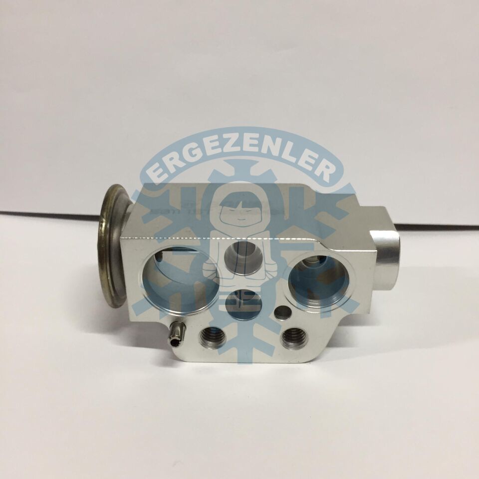 AUDİ Q7 EXPASION VALF