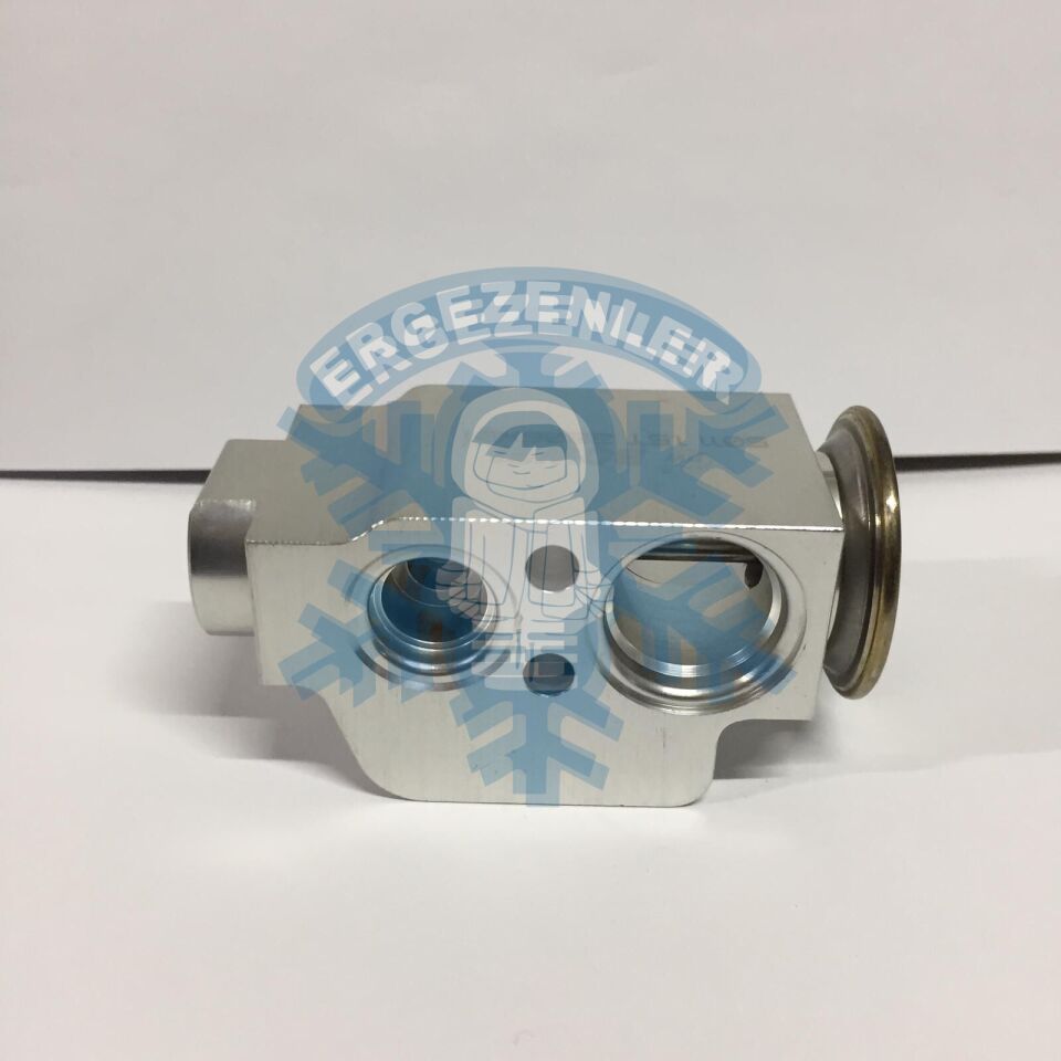 AUDİ Q7 EXPASION VALF