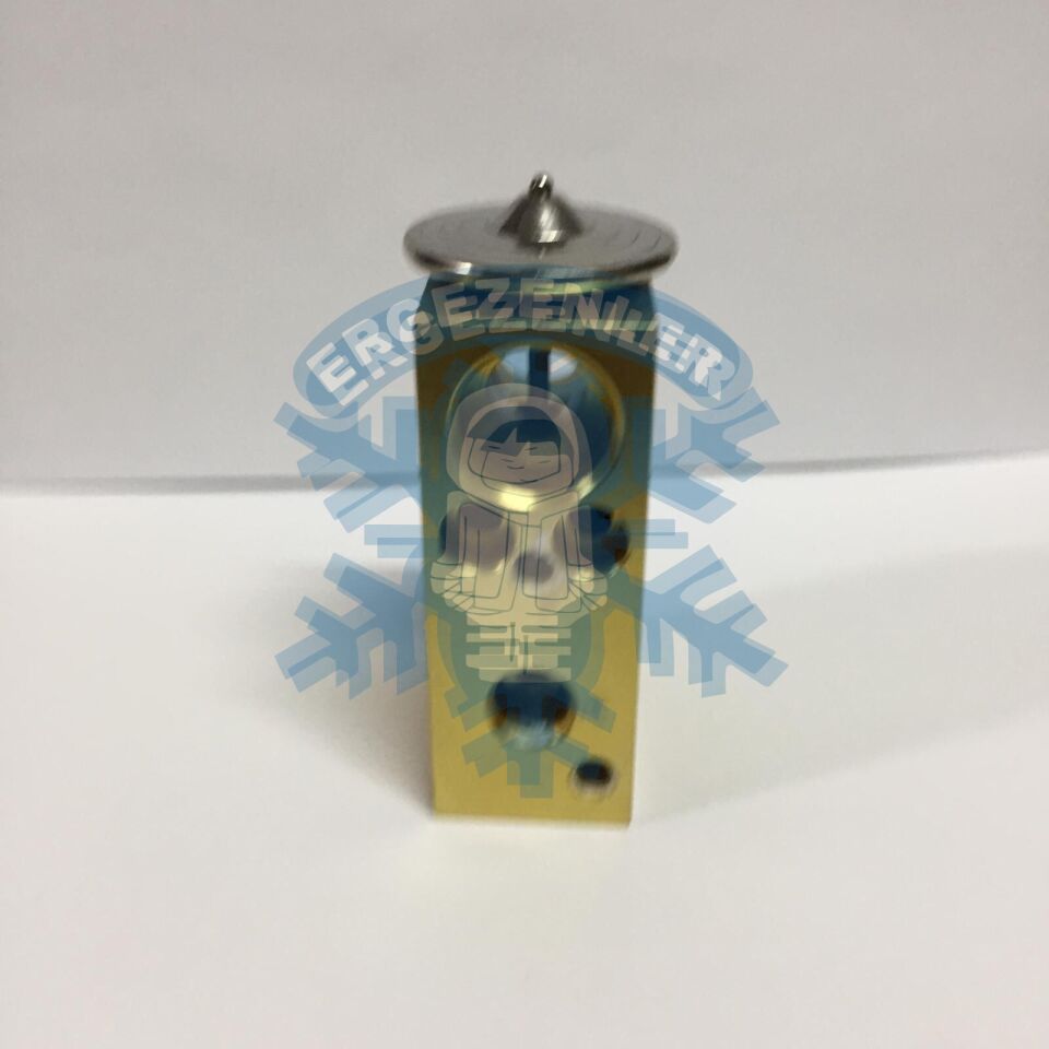 FİAT DOBLO 1.3 EXPASION VALF