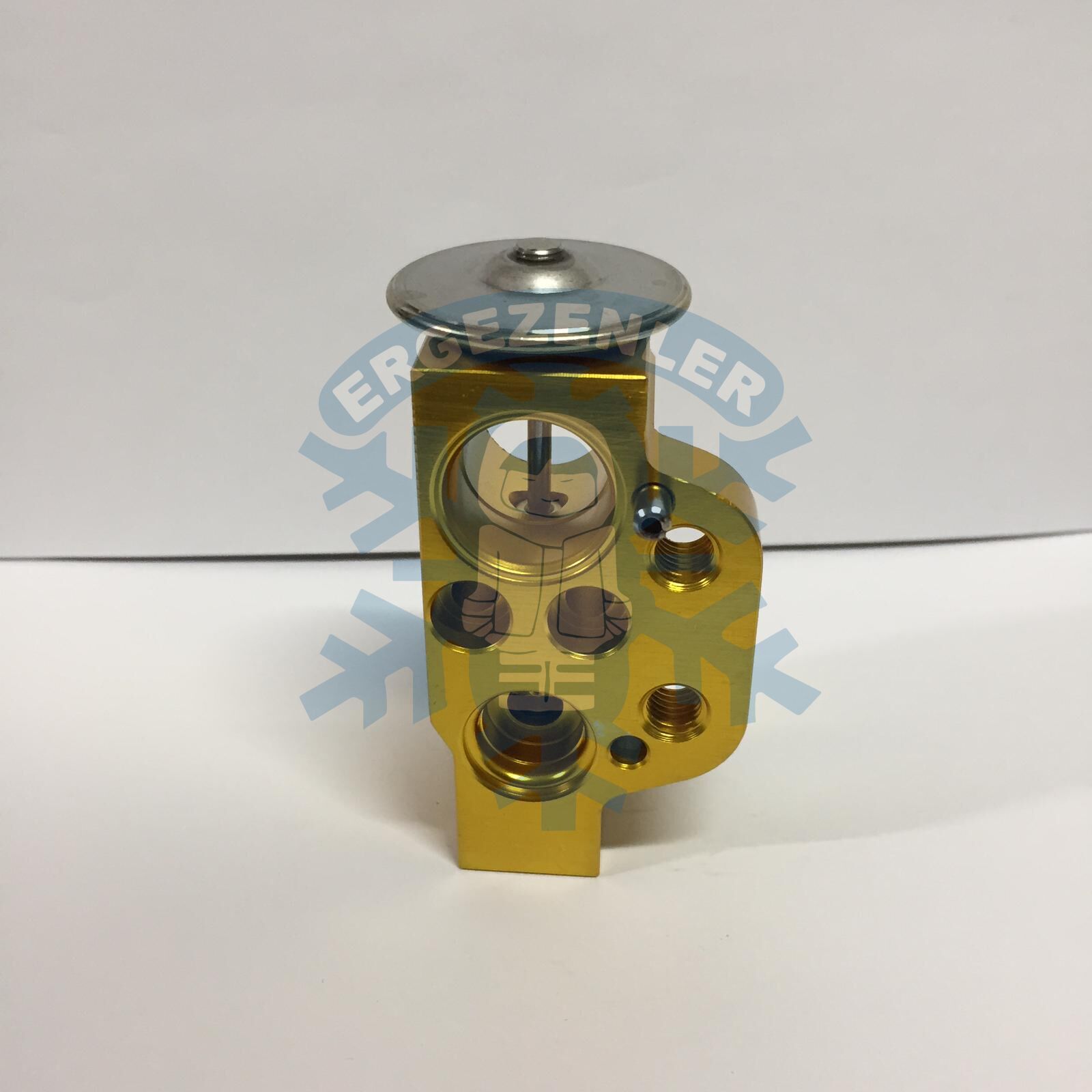 VOLKSWAGEN POLO / SKODA FABİA EXPASION VALF