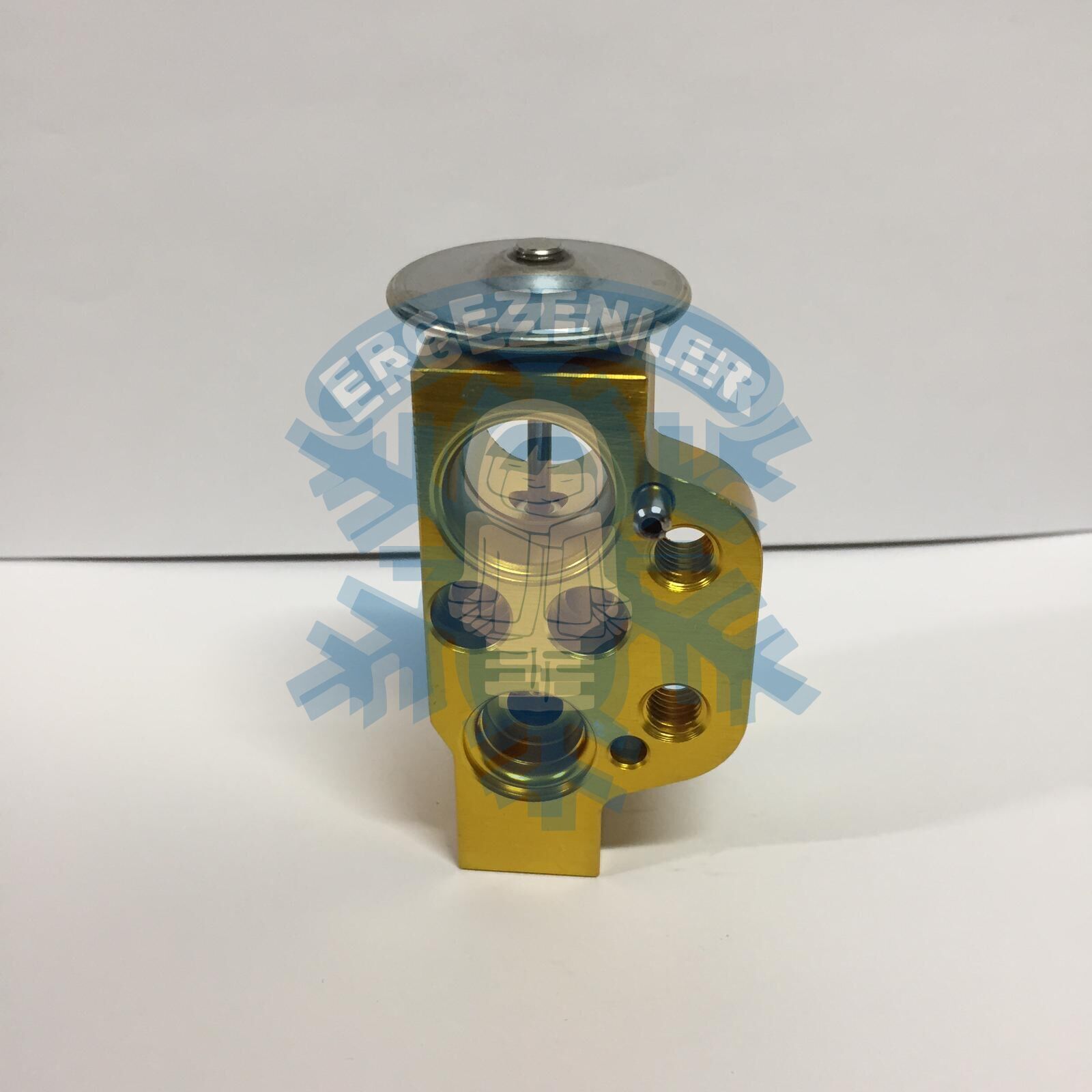 VOLKSWAGEN POLO / SKODA FABİA EXPASION VALF