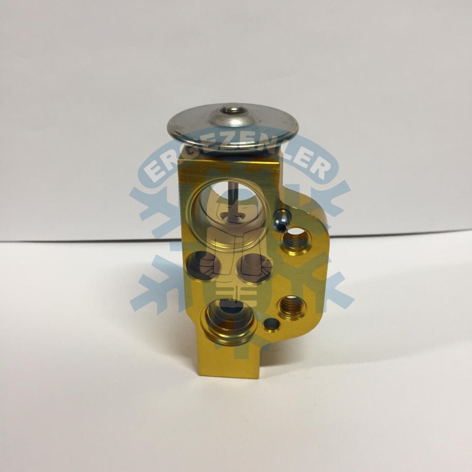 VOLKSWAGEN POLO / SKODA FABİA EXPASION VALF