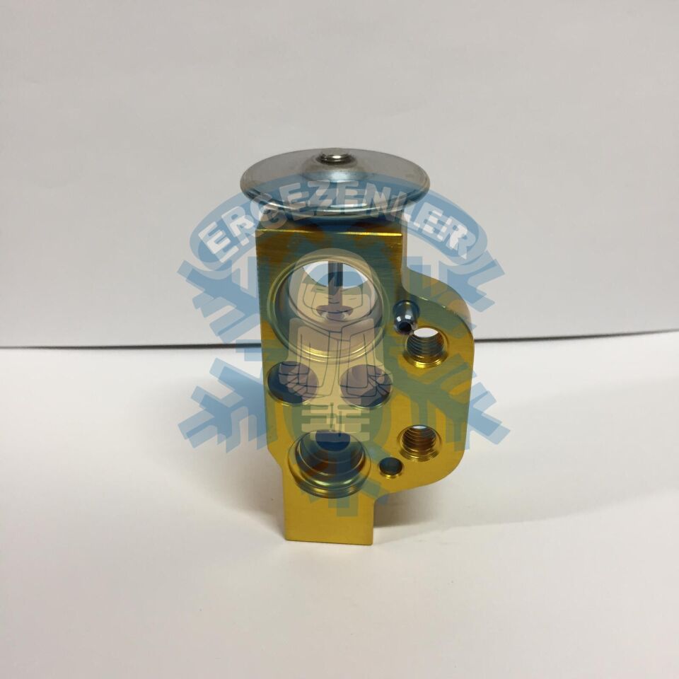 VOLKSWAGEN POLO / SKODA FABİA EXPASION VALF