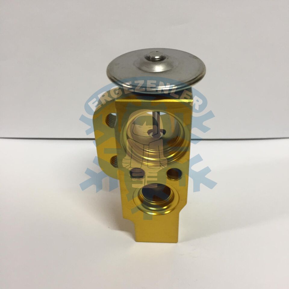 VOLKSWAGEN POLO / SKODA FABİA EXPASION VALF