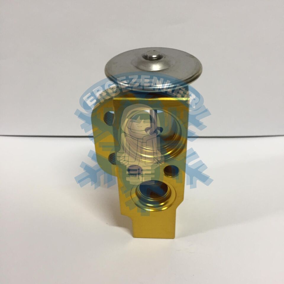 VOLKSWAGEN POLO / SKODA FABİA EXPASION VALF