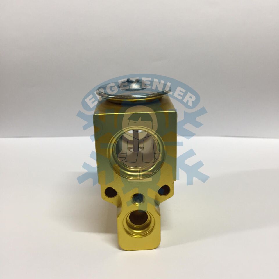 VOLKSWAGEN POLO EXPASION VALF