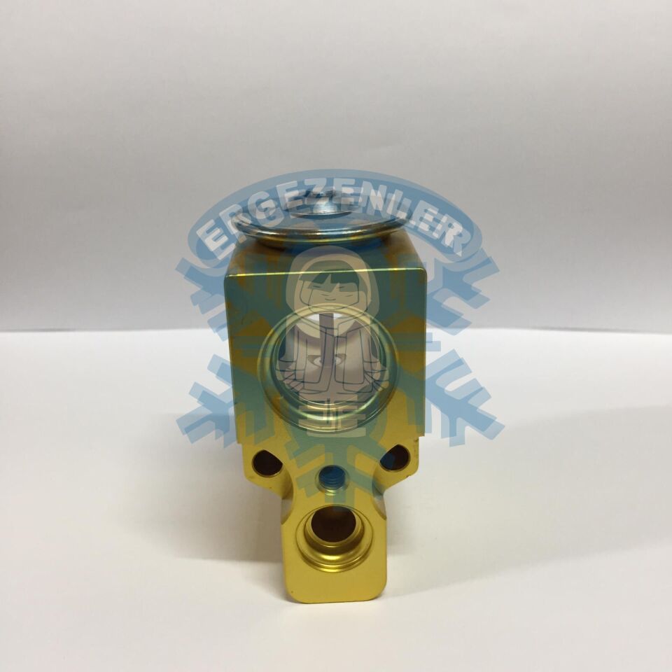 VOLKSWAGEN POLO EXPASION VALF