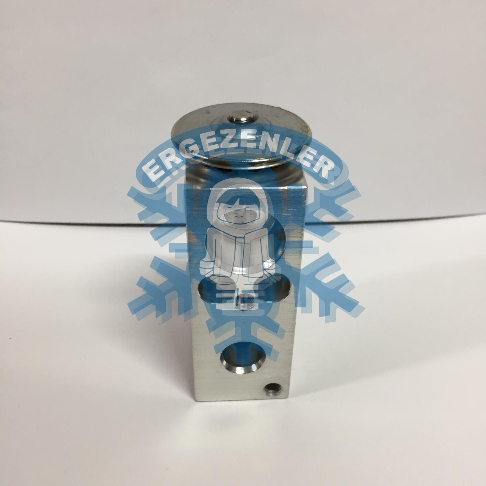 CİTROEN / PEUGEOT EXPASION VALF