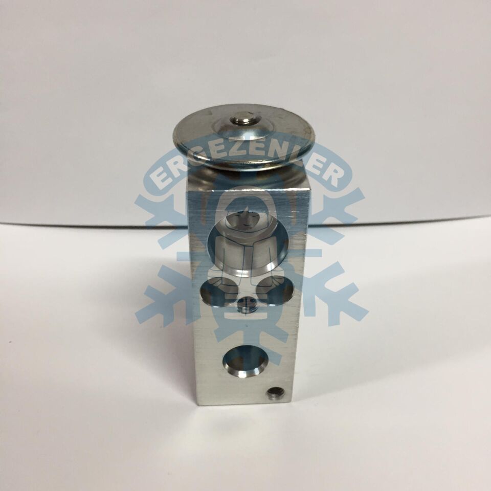 CİTROEN / PEUGEOT EXPASION VALF