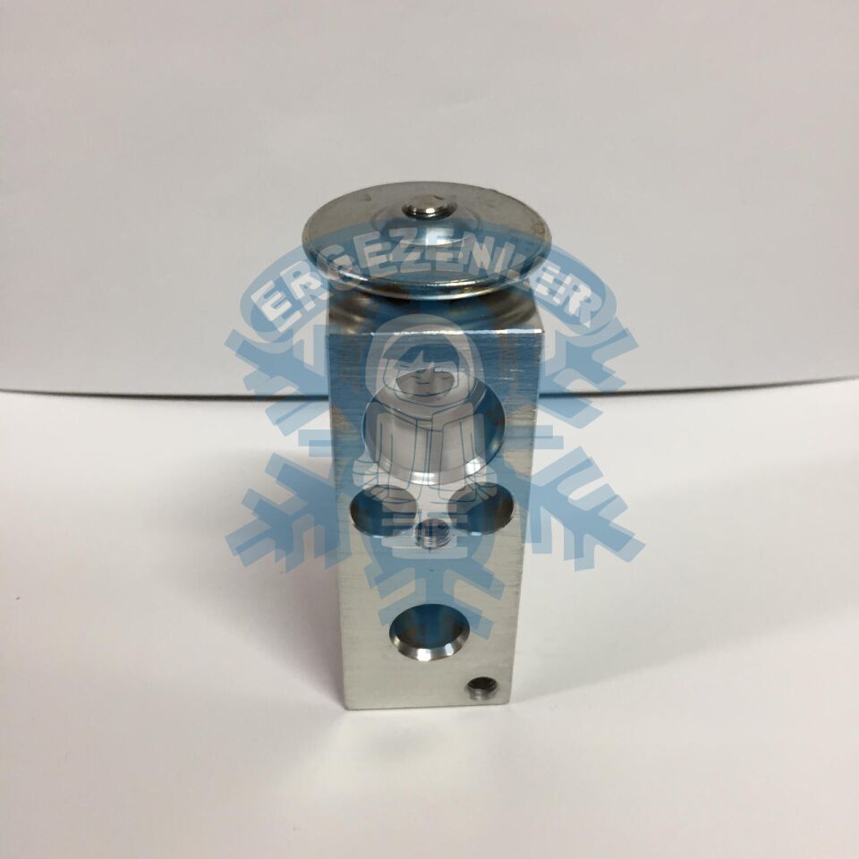 CİTROEN / PEUGEOT EXPASION VALF