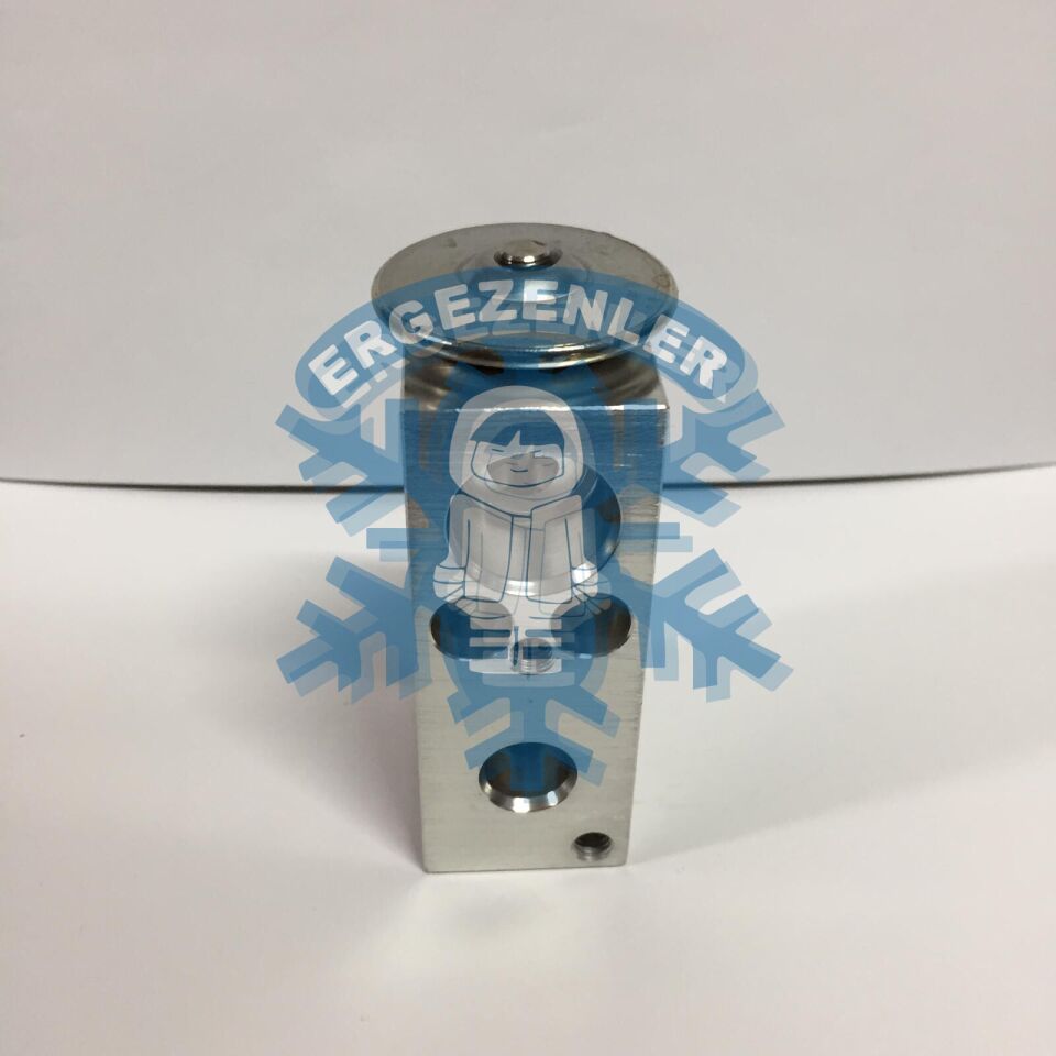 CİTROEN / PEUGEOT EXPASION VALF