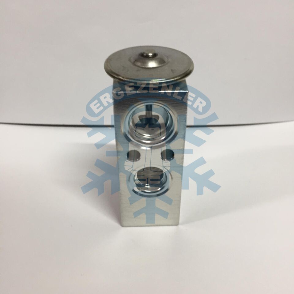 CİTROEN / PEUGEOT EXPASION VALF