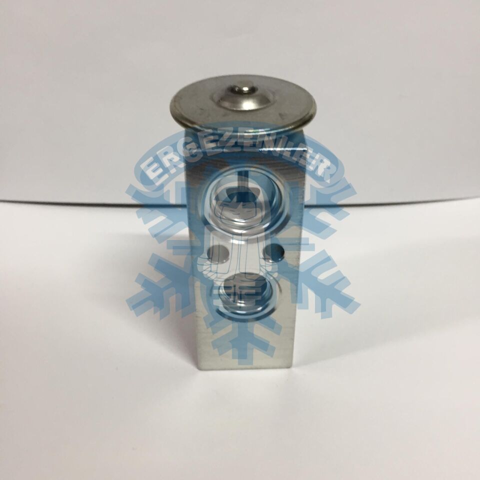 CİTROEN / PEUGEOT EXPASION VALF