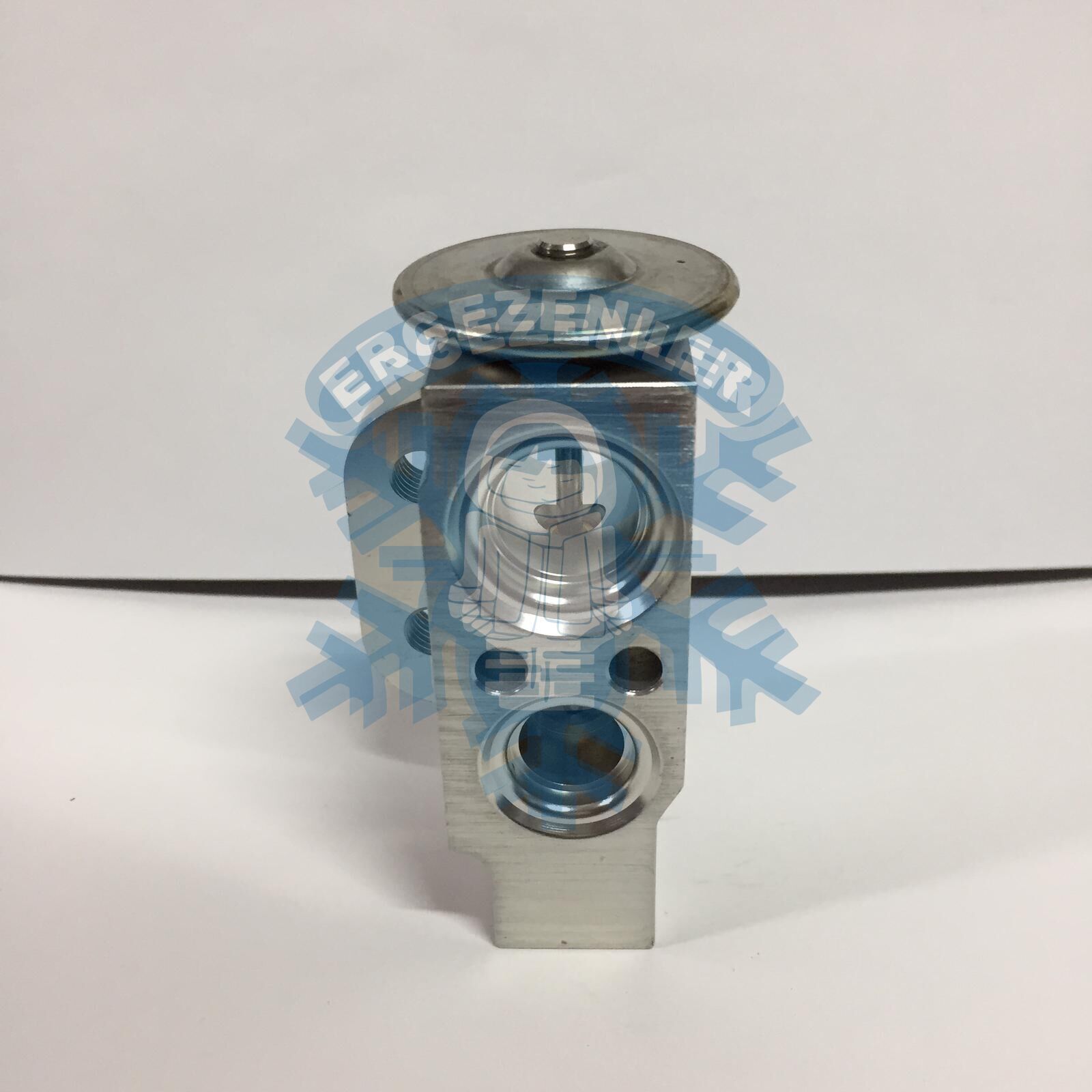 WAG GRUBU EXPASION VALF