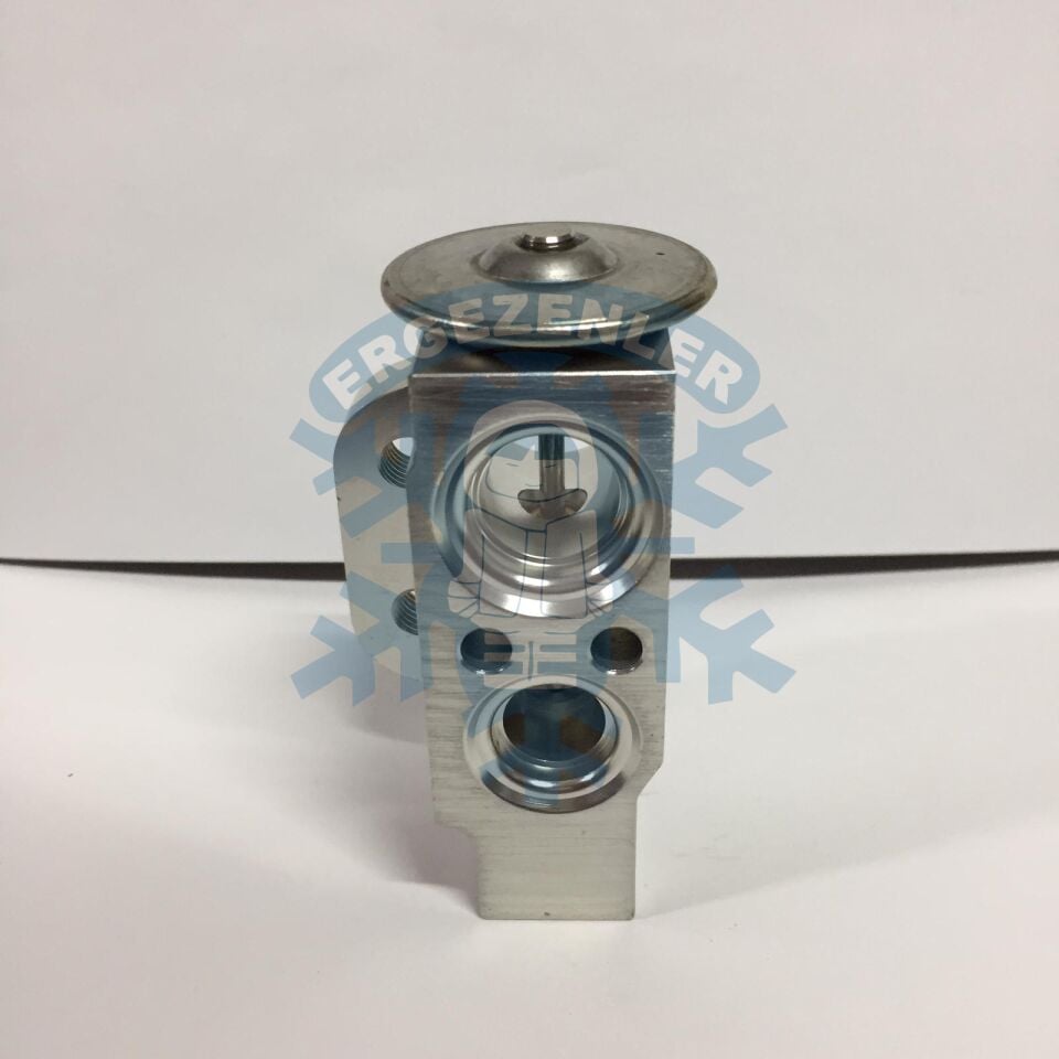 WAG GRUBU EXPASION VALF