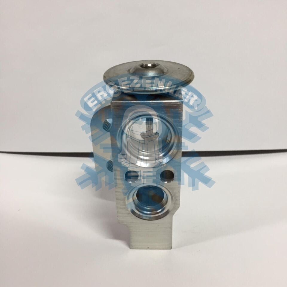 WAG GRUBU EXPASION VALF