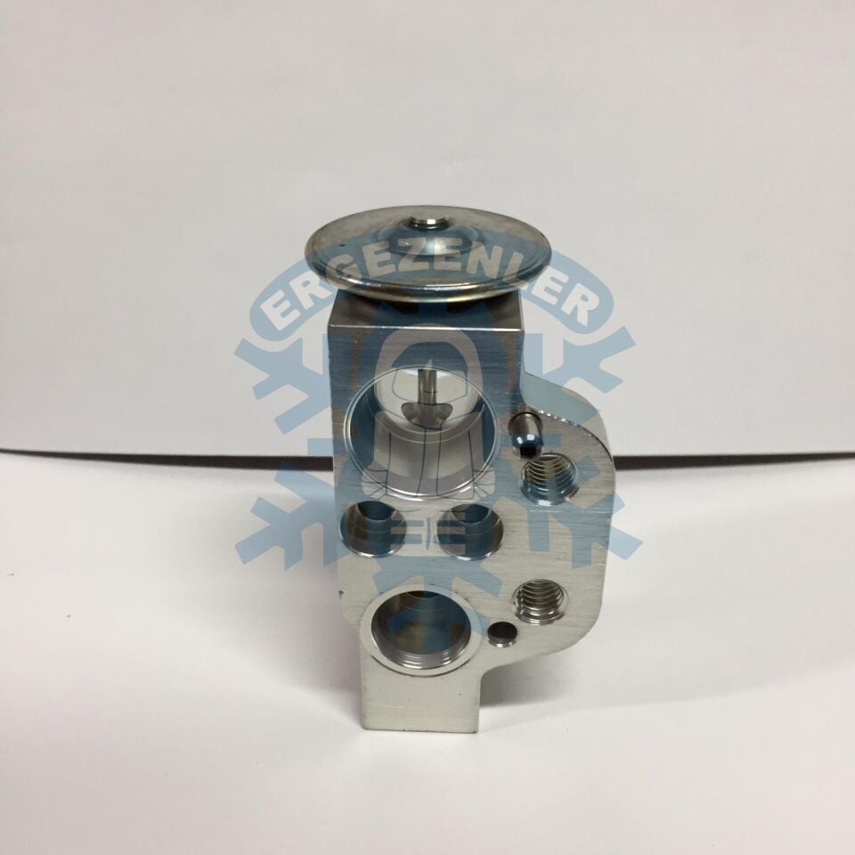 WAG GRUBU EXPASION VALF