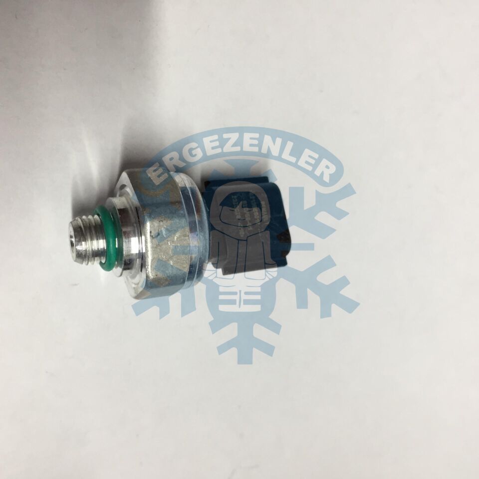 RENAULT FLUENCE - MEGANE - CLIO 5 / DACİA GRUP MÜŞÜR