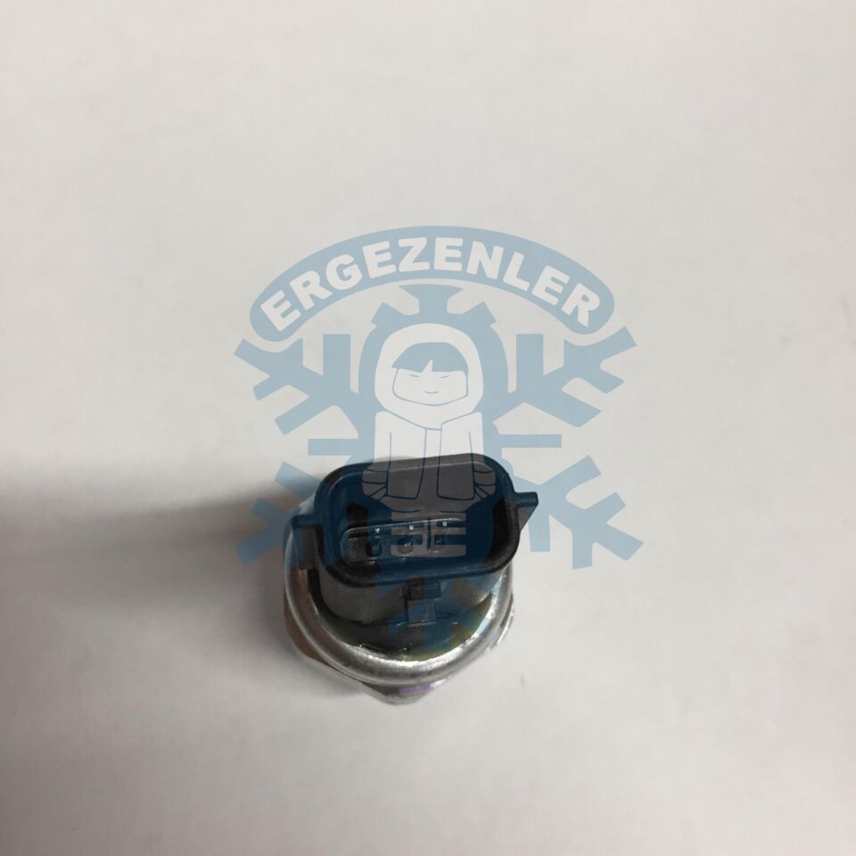 RENAULT FLUENCE - MEGANE - CLIO 5 / DACİA GRUP MÜŞÜR