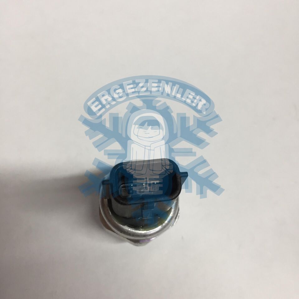 RENAULT FLUENCE - MEGANE - CLIO 5 / DACİA GRUP MÜŞÜR