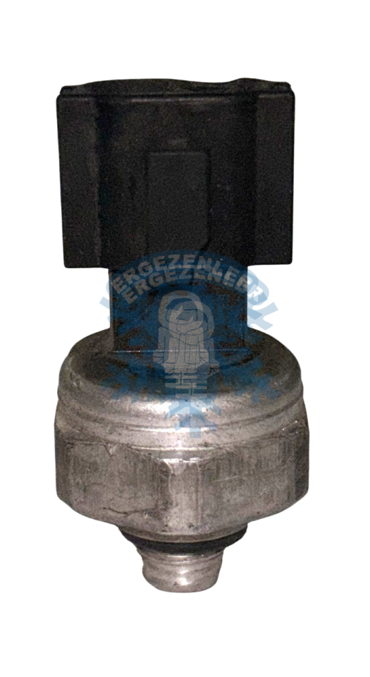 HYUNDAİ / KİA / TATA / SSANGYONG MÜŞÜR