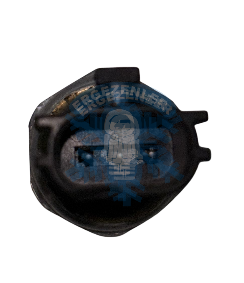 HYUNDAİ / KİA / TATA / SSANGYONG MÜŞÜR