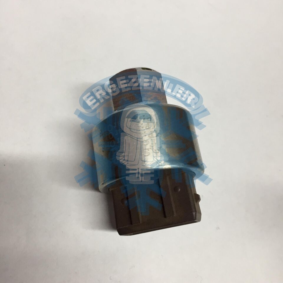 PEAGUET 406 / CİTROEN MÜŞÜR