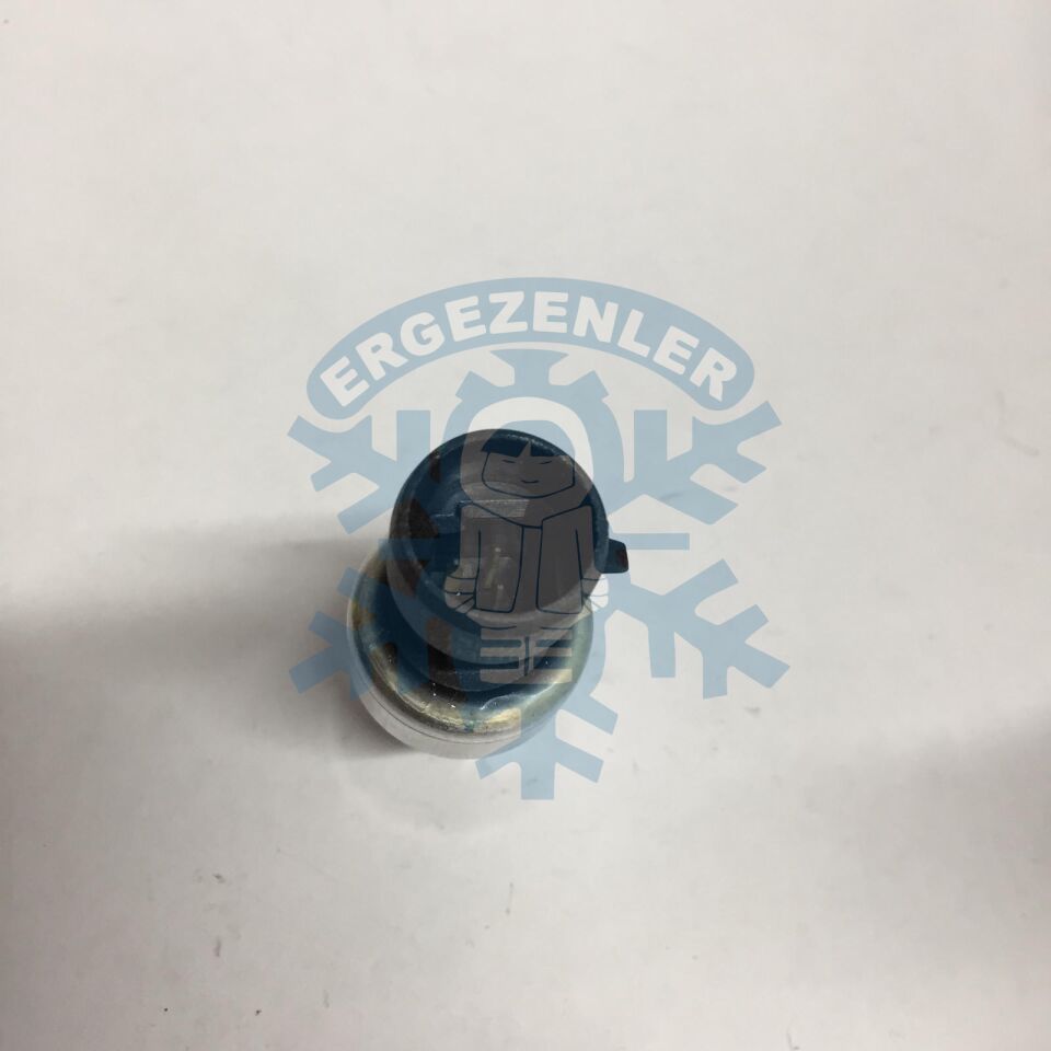 RENAULT CLİO / FİAT / OPEL MÜŞÜR