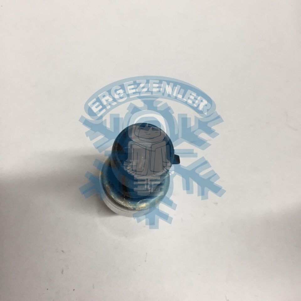 RENAULT CLİO / FİAT / OPEL MÜŞÜR