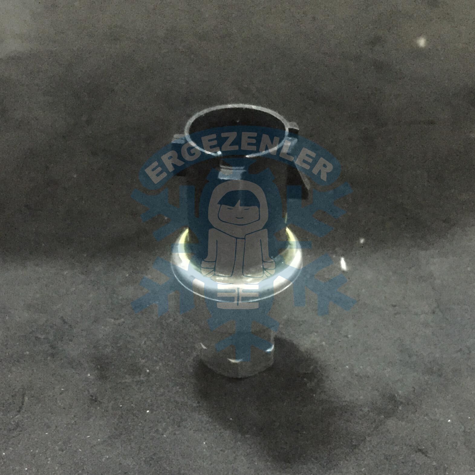 FORD MÜŞÜR - OEM: 22-60646-000 - 2CP55-1