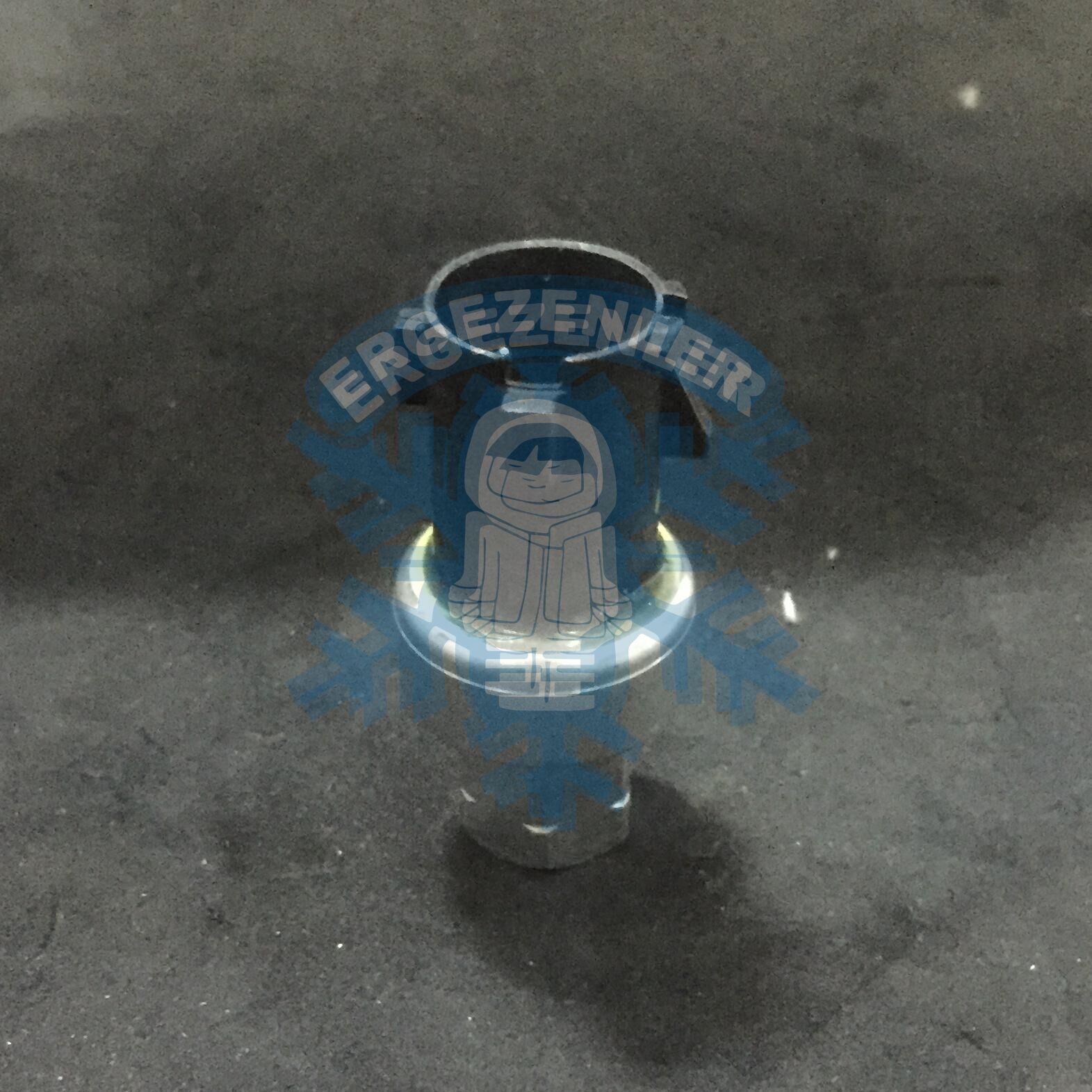 FORD MÜŞÜR - OEM: 22-60646-000 - 2CP55-1