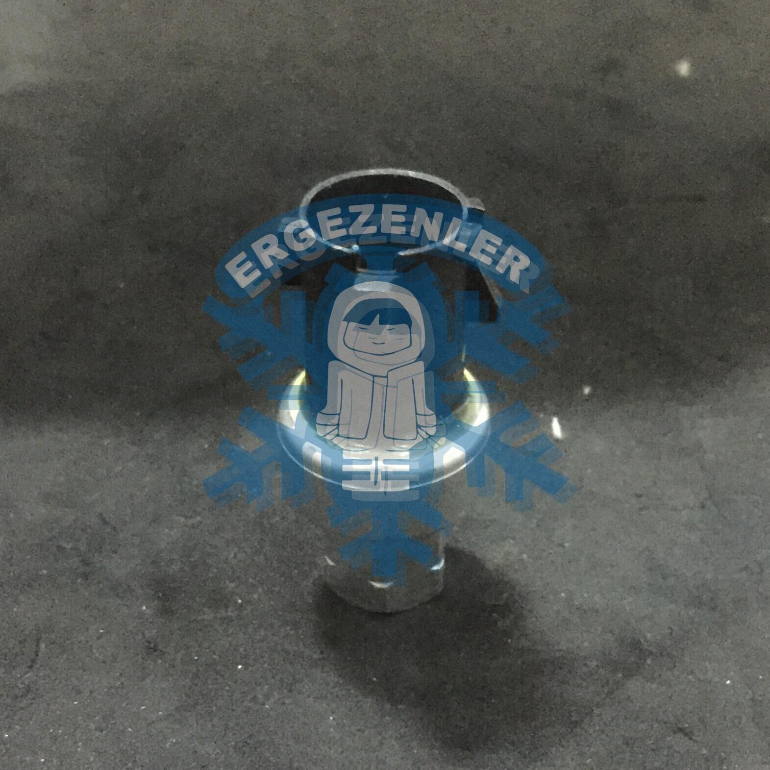 FORD MÜŞÜR - OEM: 22-60646-000 - 2CP55-1