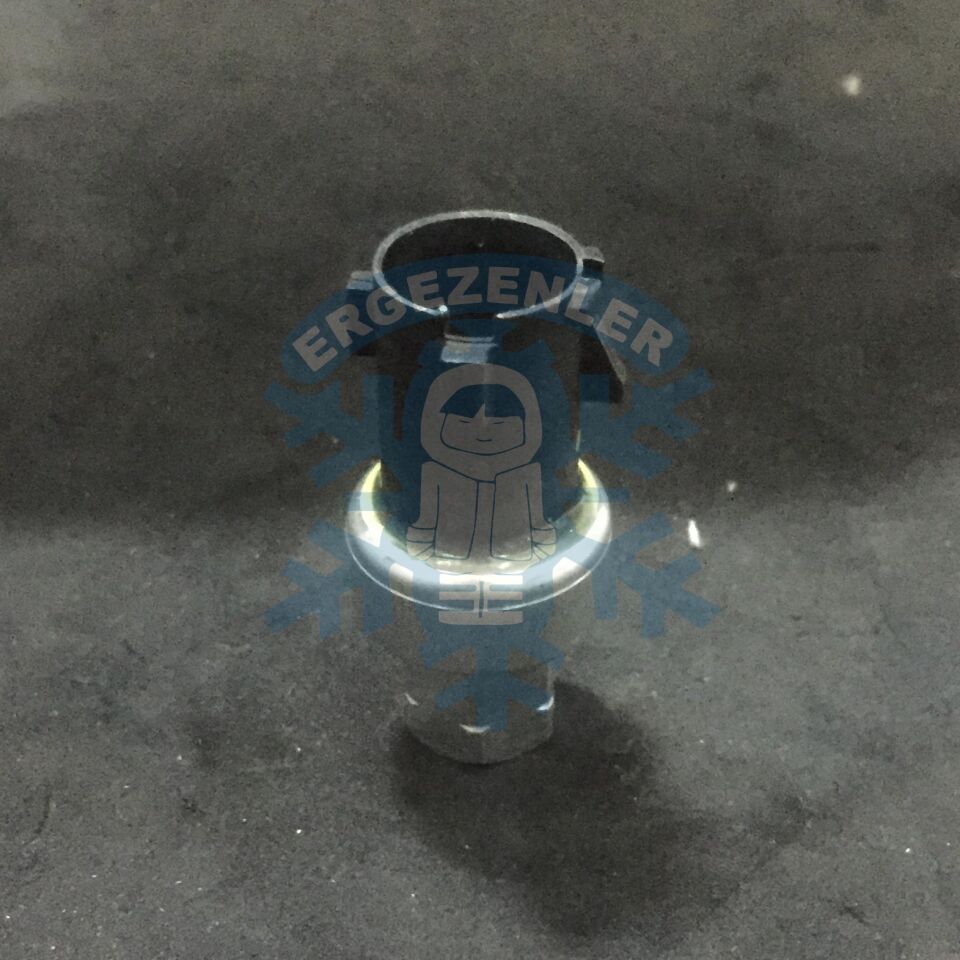 FORD MÜŞÜR - OEM: 22-60646-000 - 2CP55-1