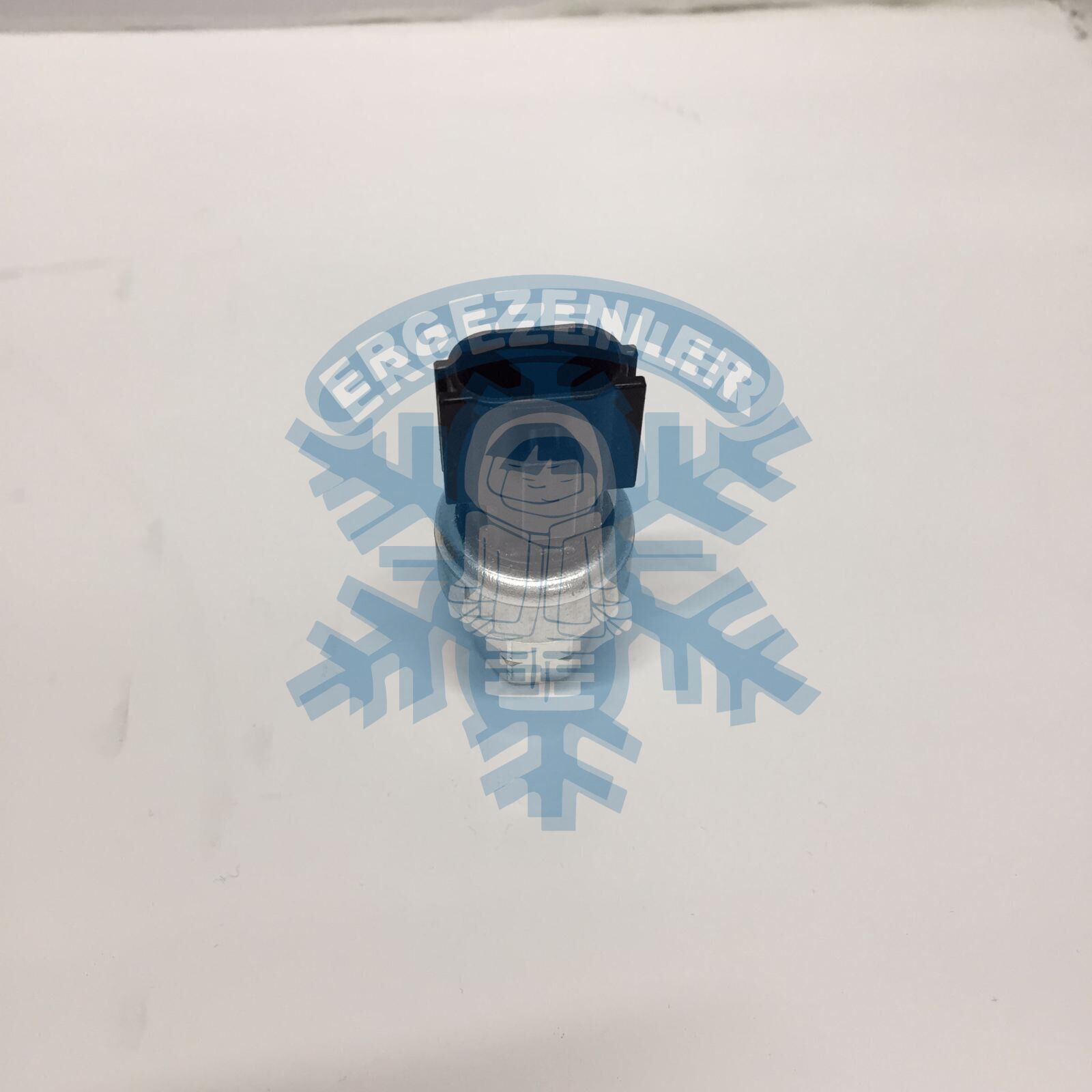 HYUNDAİ NİSSAN DİŞİ MÜŞÜR