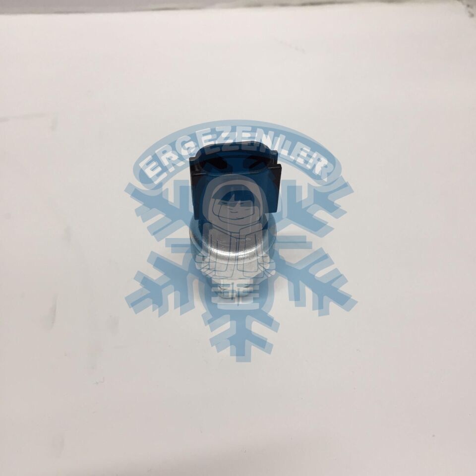 HYUNDAİ NİSSAN DİŞİ MÜŞÜR