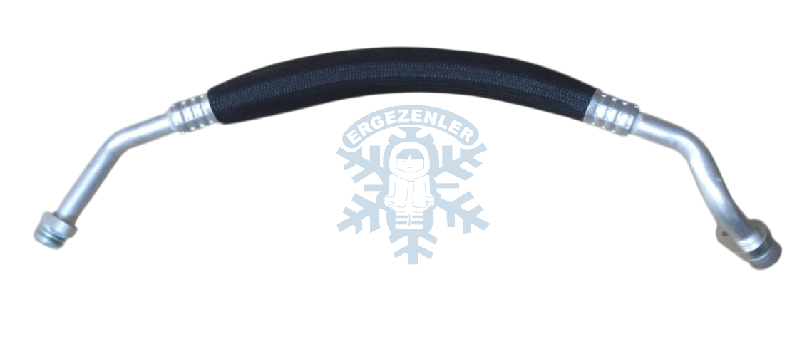 RENAULT Kangoo HORTUM