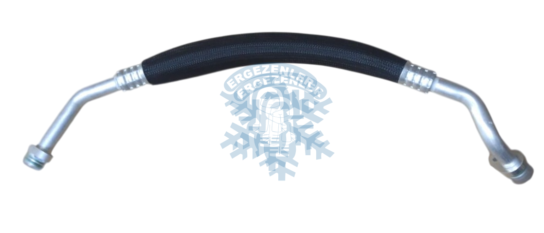 RENAULT Kangoo HORTUM