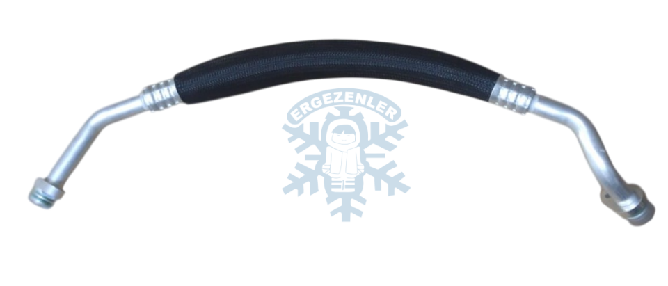 RENAULT Kangoo HORTUM