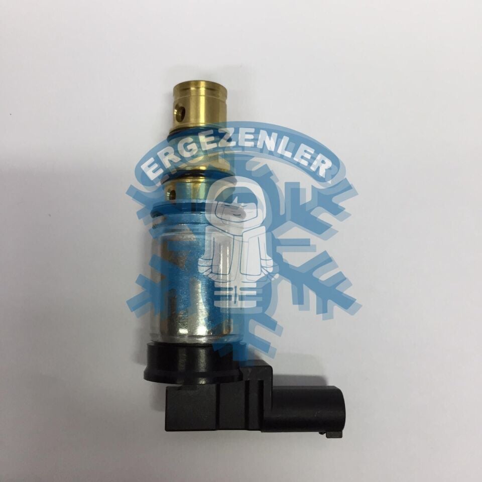 BMW SANDEN SELENOID VALF